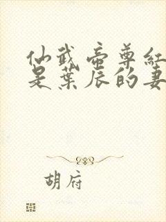 仙武帝尊红尘雪是叶辰的妻子吗