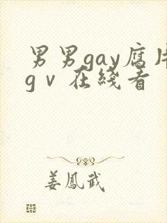 男男gay腐片gⅴ在线看封面
