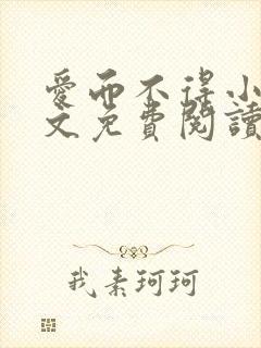 爱而不得小说全文免费阅读