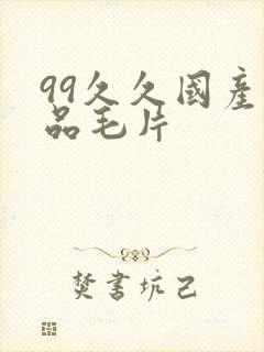 99久久国产精品毛片