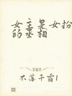 女主是女扮男装的丞相