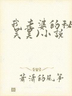 我老婆的秘密(吴昊)小说