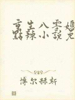 重生八零媳妇有点辣小说免费小说