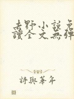 去野小说免费阅读全文无弹窗