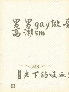男男gay做受高潮sm