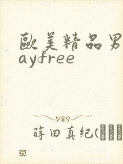 欧美精品男同gayfree