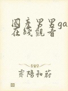 国产男男gay在线观看封面