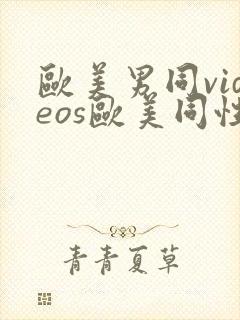 欧美男同videos欧美同性