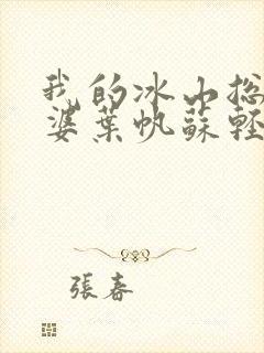 我的冰山总裁老婆叶帆苏轻雪封面