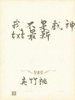 我不是戏神小说txt最新