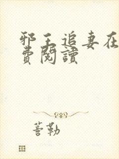 邪王追妻在线免费阅读