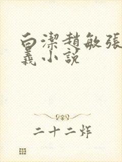 白洁赵敏张倩高义小说