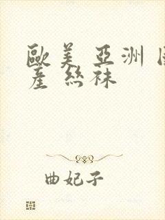 欧美 亚洲 国产 丝袜