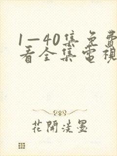 1—40集免费看全集电视剧