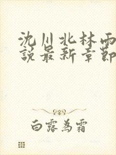 沈川北林雨瑶小说最新章节免费阅读