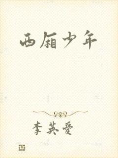 西厢少年封面