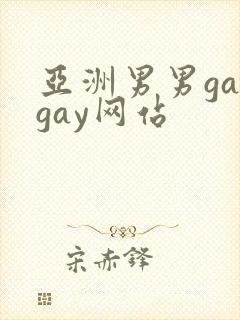 亚洲男男gaygay网站