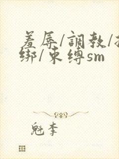 羞辱/调教/捆绑/束缚sm