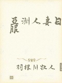 亚洲人妻日韩制服