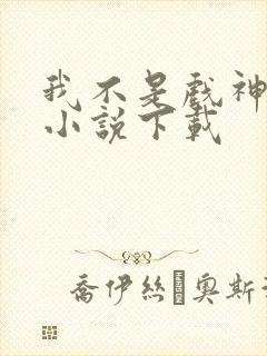 我不是戏神有声小说下载