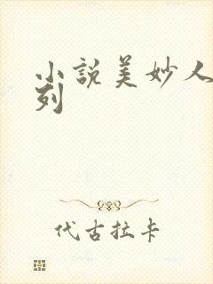 小说美妙人妻系列封面
