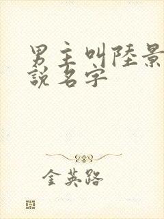 男主叫陆景的小说名字