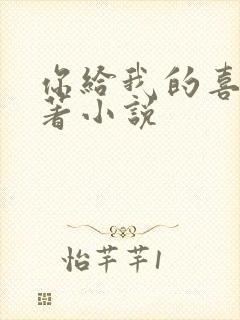 你给我的喜欢原著小说