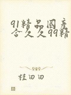 91精品国产综合久久99精品