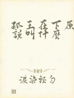 孤王在下原著小说叫什么