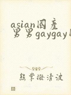 asian国产男男gaygay网站