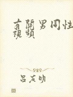 有关男同性恋的视频封面