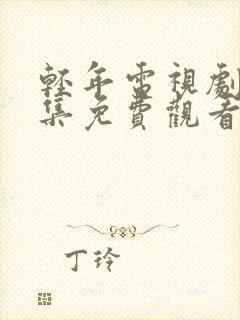 轻年电视剧40集免费观看