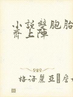 小说双胞胎姐妹齐上阵