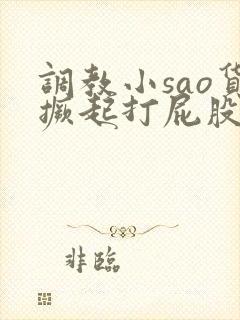 调教小sao货撅起打屁股故事