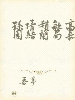 孙倩赵敏高义大团结兰局长