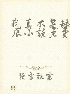 我真不是舔狗叶辰小说免费阅读