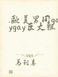 .欧美男同gaygay巨大粗封面
