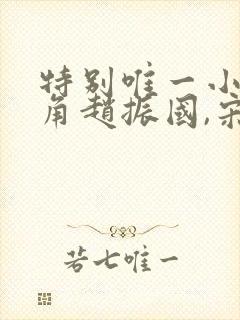 特别唯一小说主角赵振国,宋婉清封面