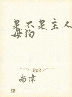 是不是主人的骚母狗