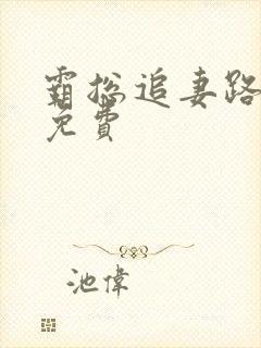 霸总追妻路漫漫免费封面