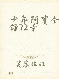 少年阿宾全文目录72章