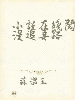 小说在线阅读漫漫追妻路