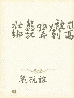 壮熊gay被捆绑玩弄到高潮