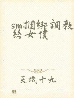 sm捆绑调教白丝女仆封面