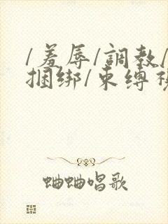 /羞辱/调教/捆绑/束缚视频