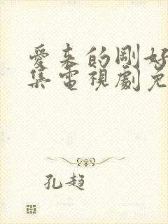 爱来的刚好60集电视剧免费观看