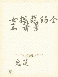 女总裁的全能兵王 萧晨