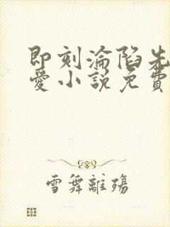 即刻沦陷先婚后爱小说免费阅读全文