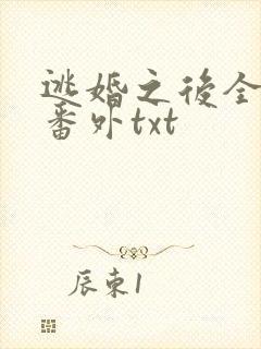 逃婚之后全文加番外txt