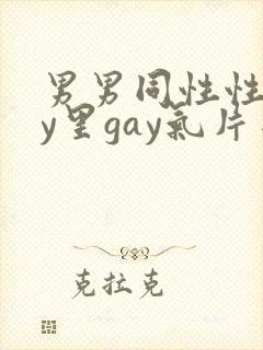 男男同性性gay里gay气片网站封面